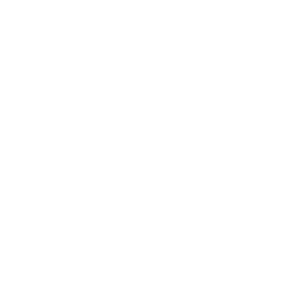 Needlefast® Real Christmas Trees